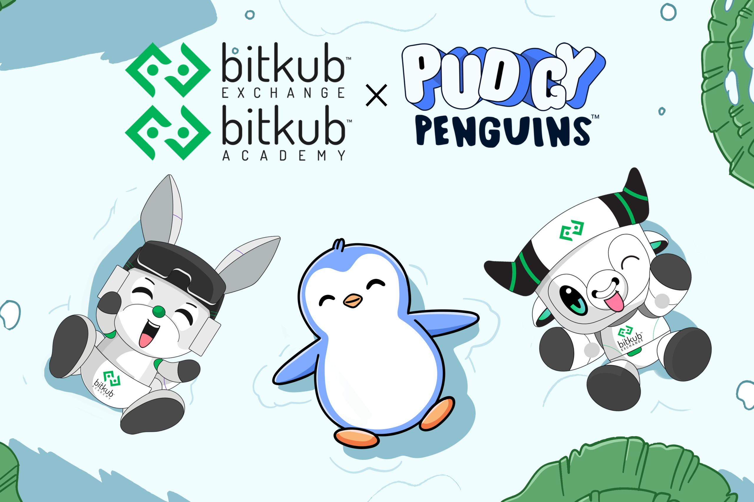 Bitkub Exchange และ Bitkub Academy ประกาศร่วมมือกับ Pudgy Penguins ...